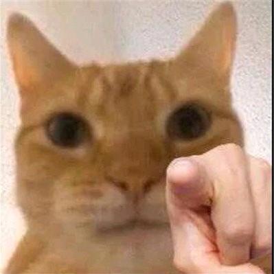 101010