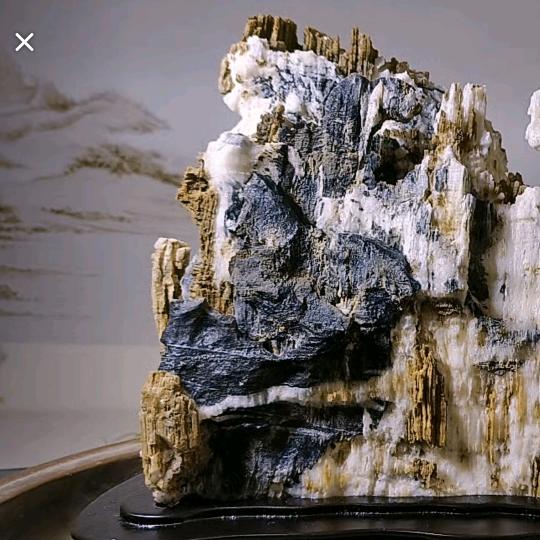 青松:致青春