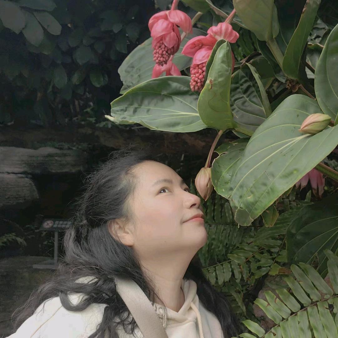 小鹿短剧