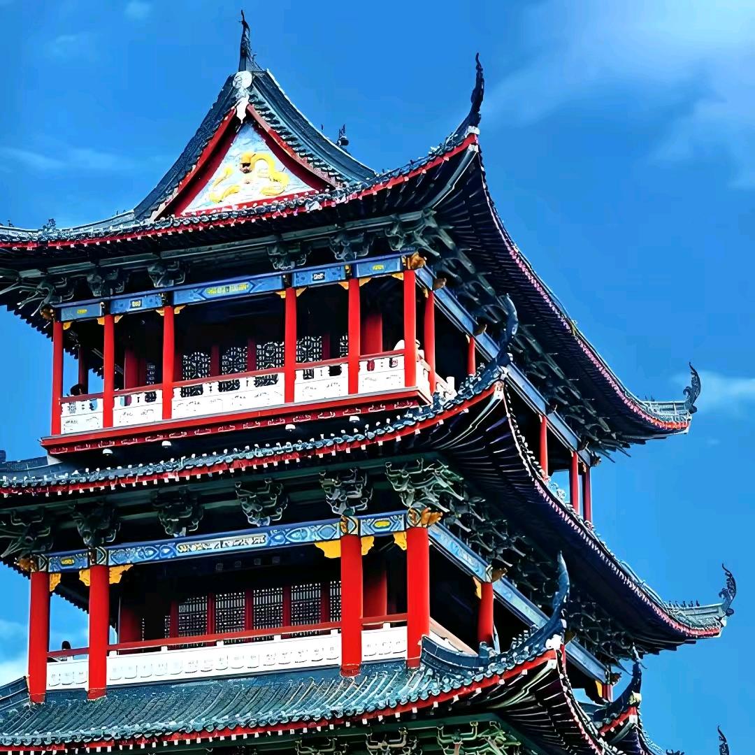 🌿谁说采茶不抖音🌿