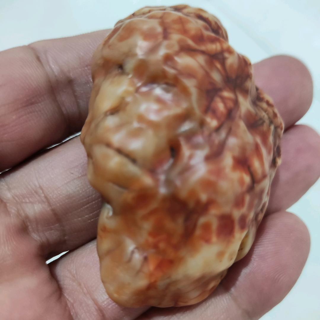 鸿源赏石