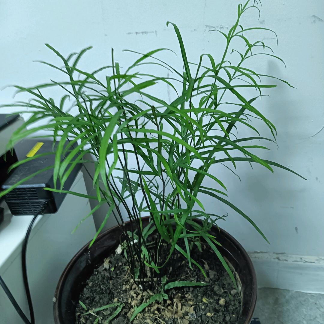 用户7543503987930小宝贝