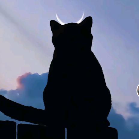 纣王的鹿台阁在这里。鹤壁