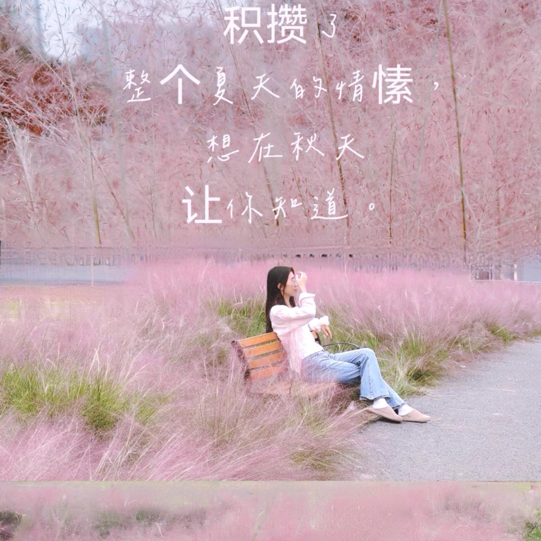 小番茄🍅
