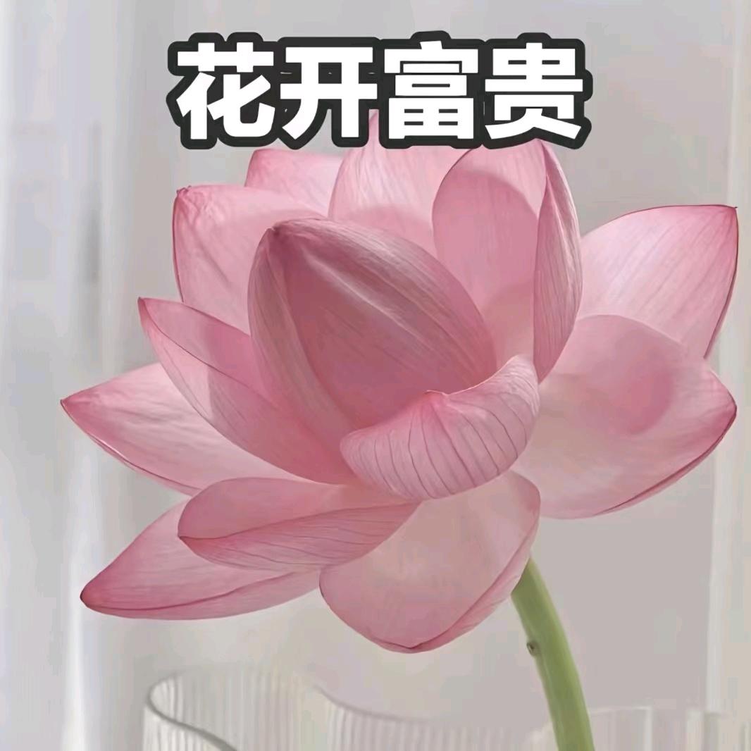 顺口溜中式快餐