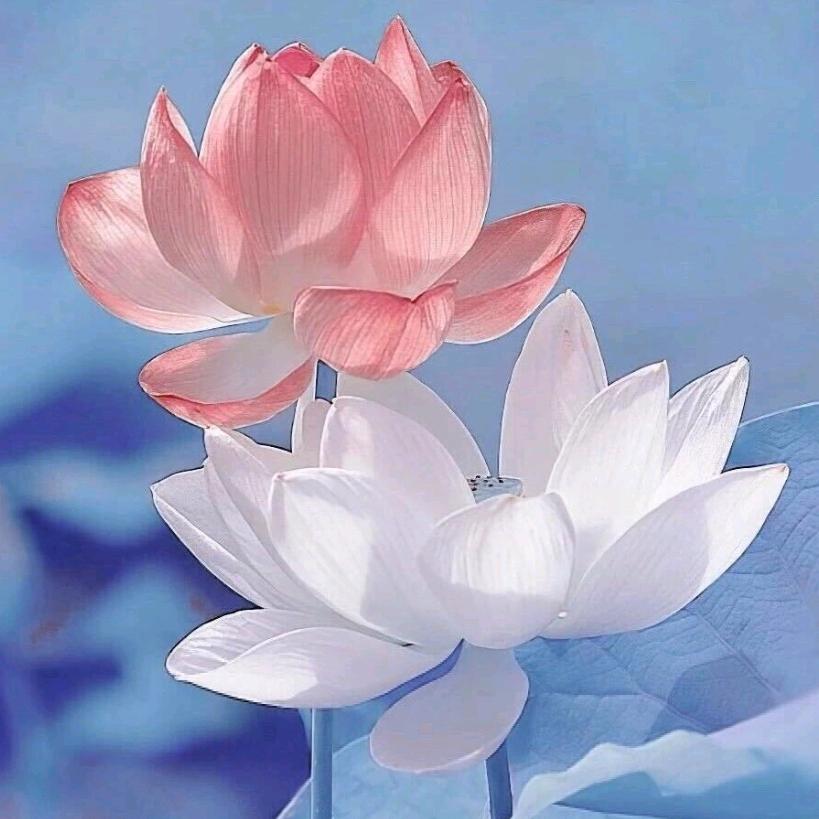 ℳঞᩚ温ꦿ໊໊暖꧔ꦿ᭄偏⃝ꦿ爱꧔ꦿ᭄