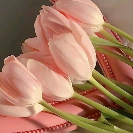 🌸月亮🌸湾湾🌸