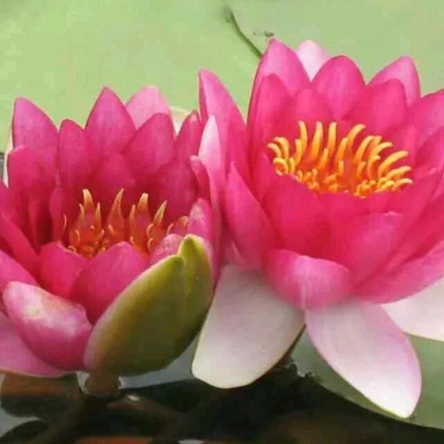 ಢ᭄有你🌺真郝ོᝰ᭄²⁰²⁵