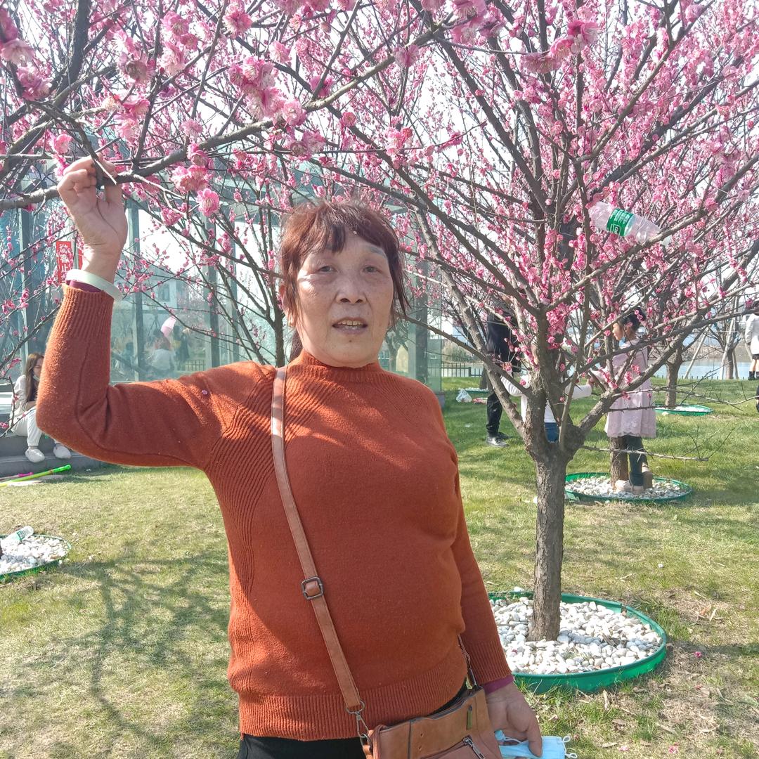 小英