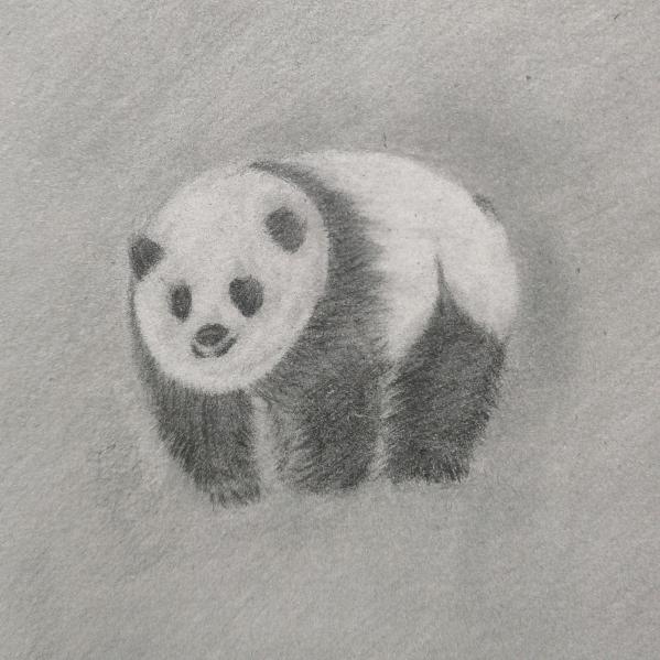 粘粘的豆包
