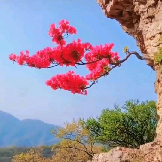 一念执着