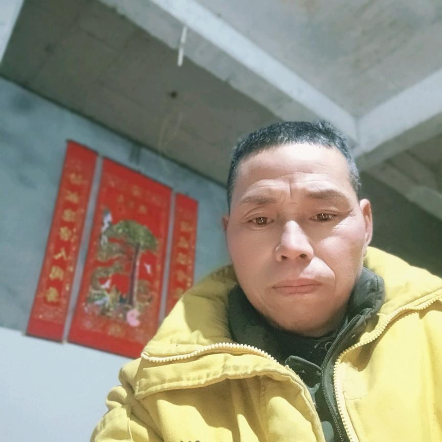 陈四哥