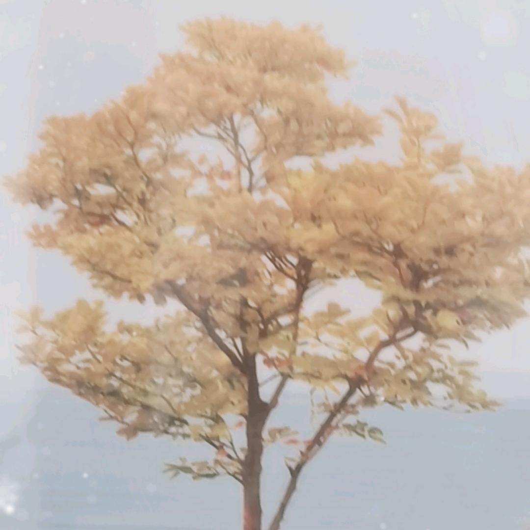 雄鹰