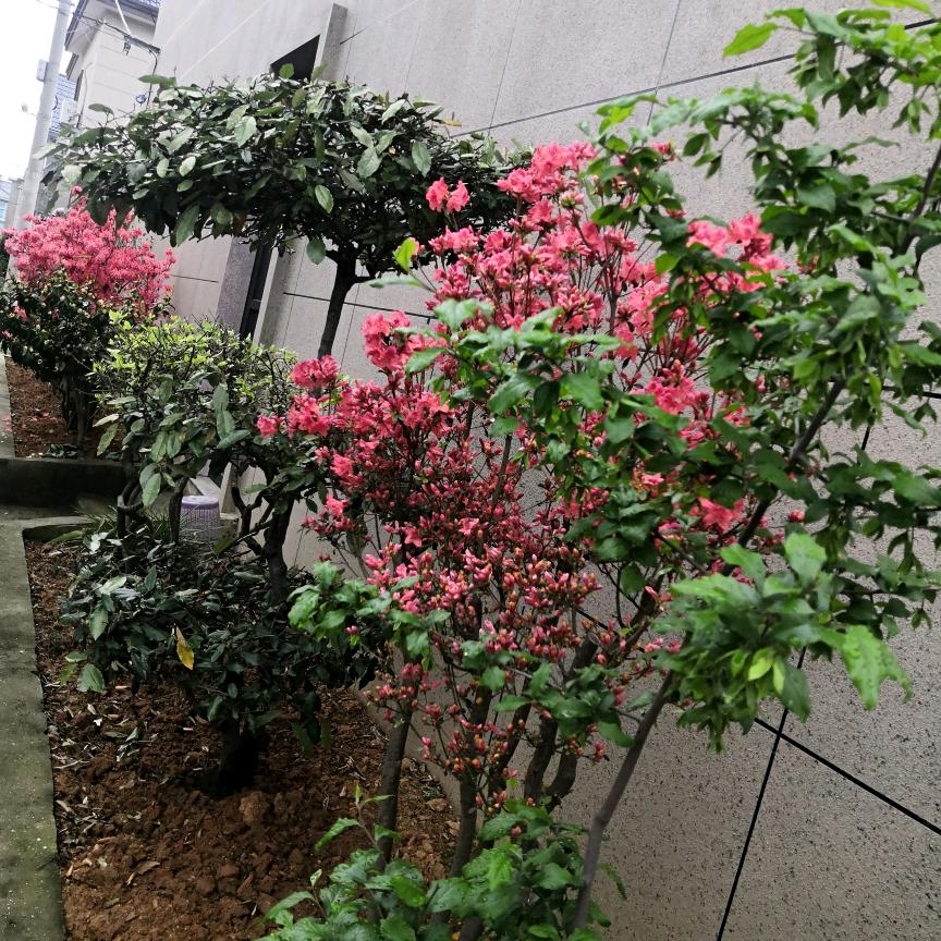 知音，好人一生平安