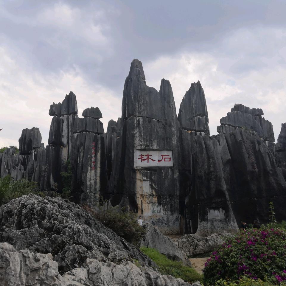 逗逗飞