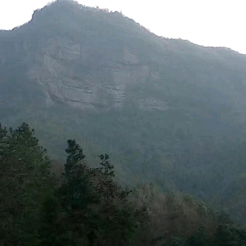 人生演绎