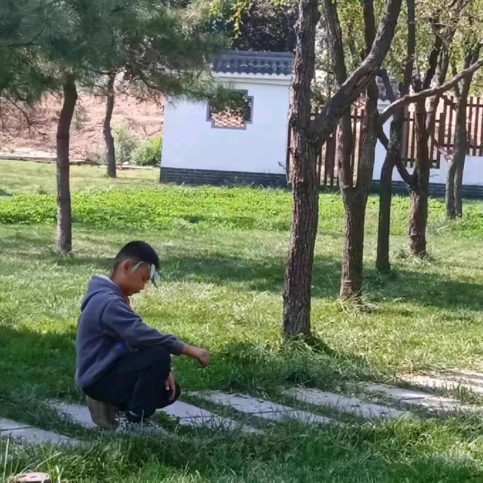 小戏精    卫博磊