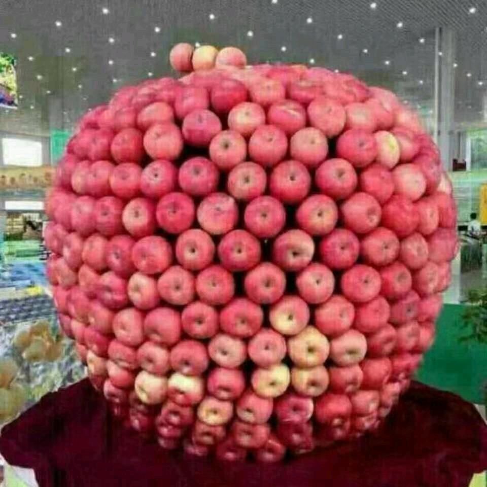 文萍萍