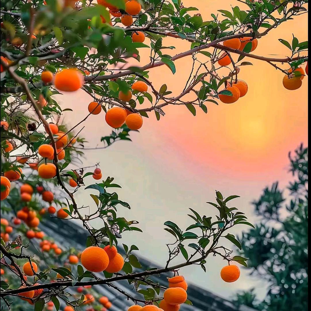 郭家