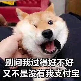 小向向