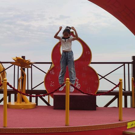 🐱巷子里的猫🐱