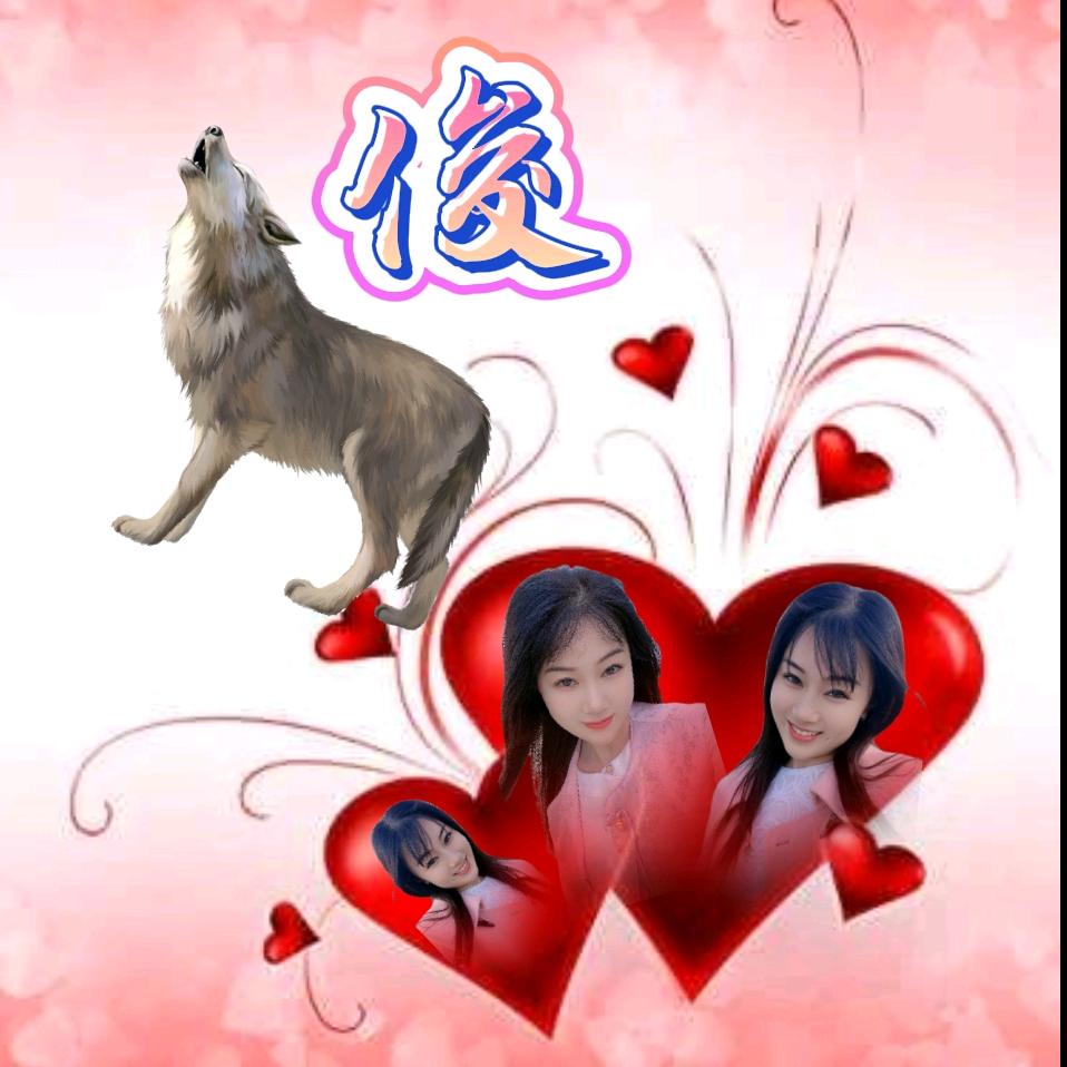 俊狼🐺