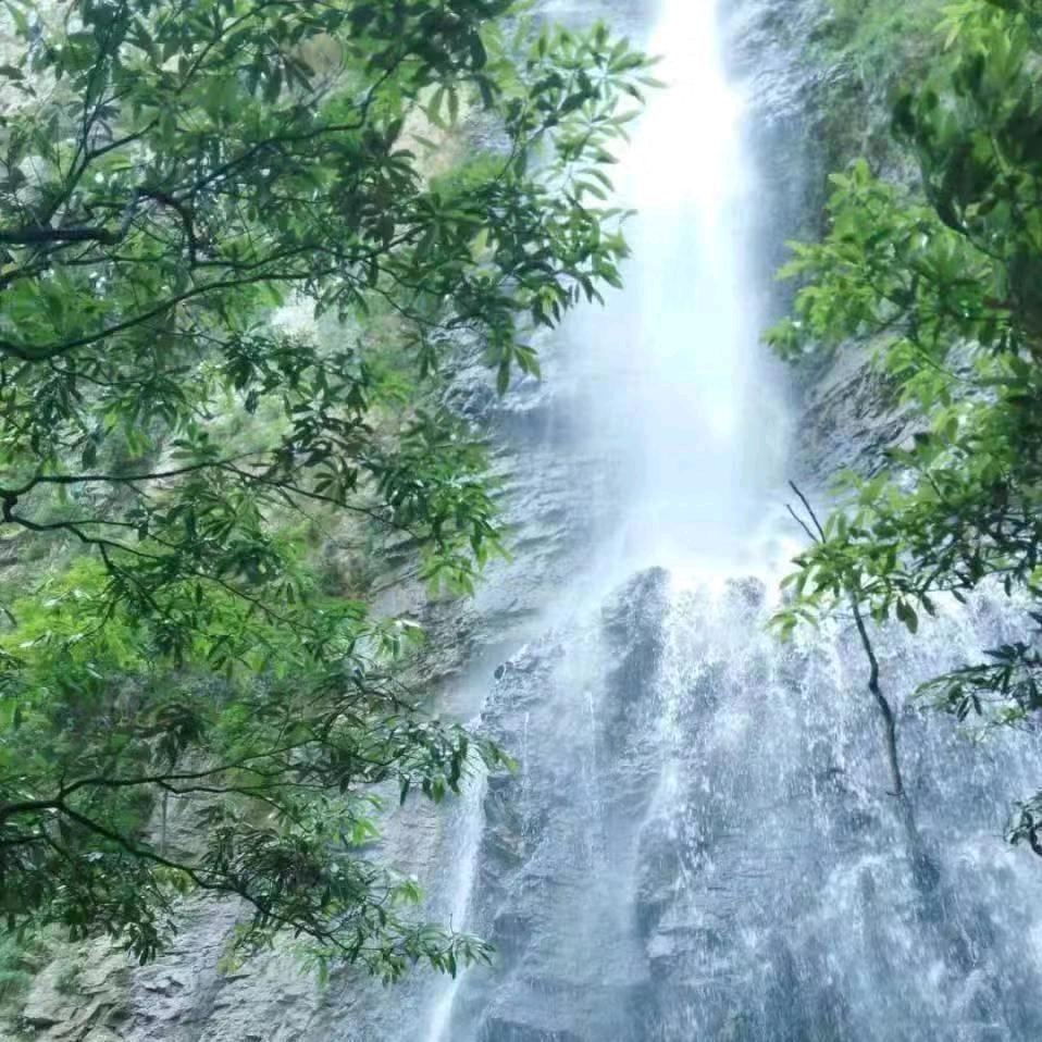 满天星