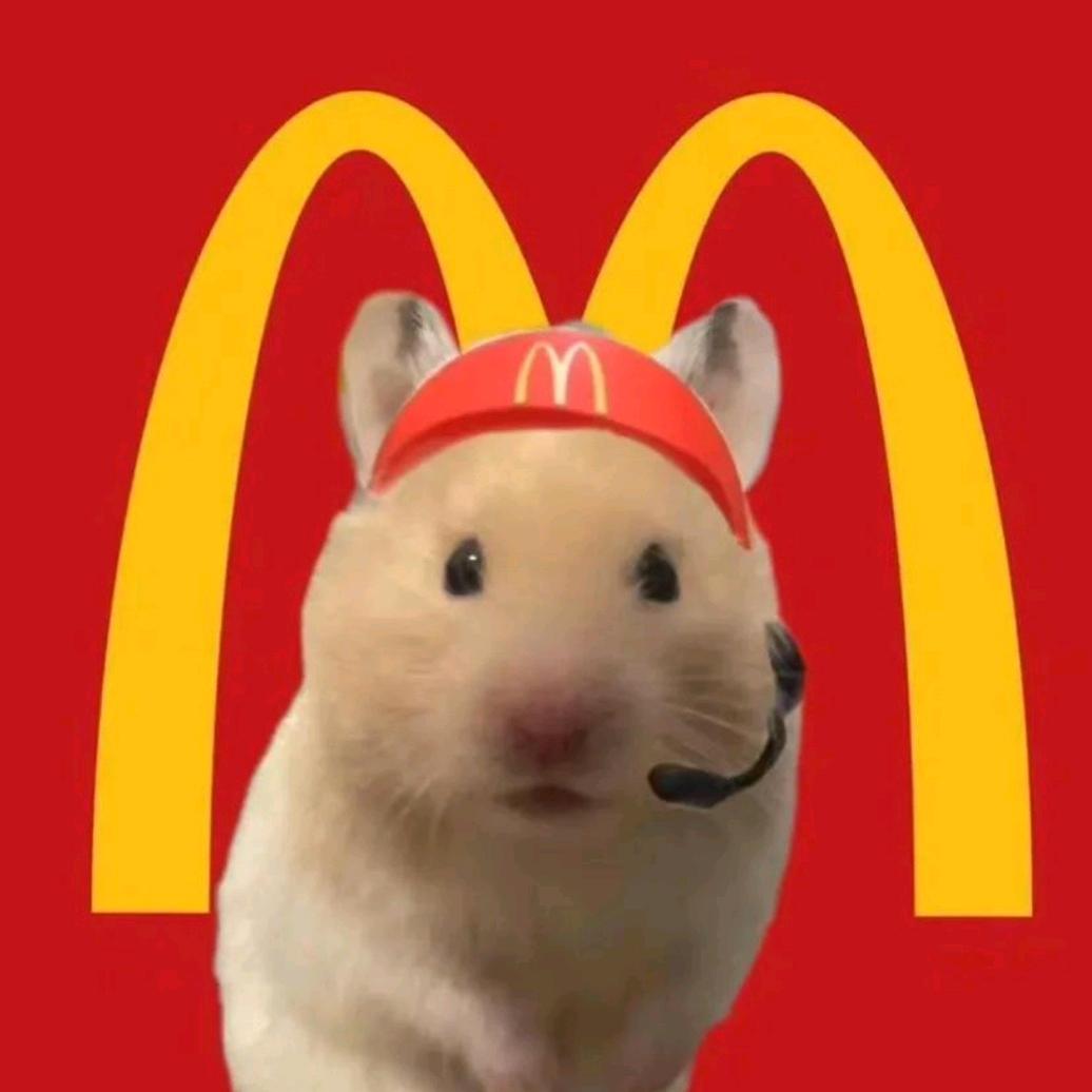 五小只🌷小玩意儿💘