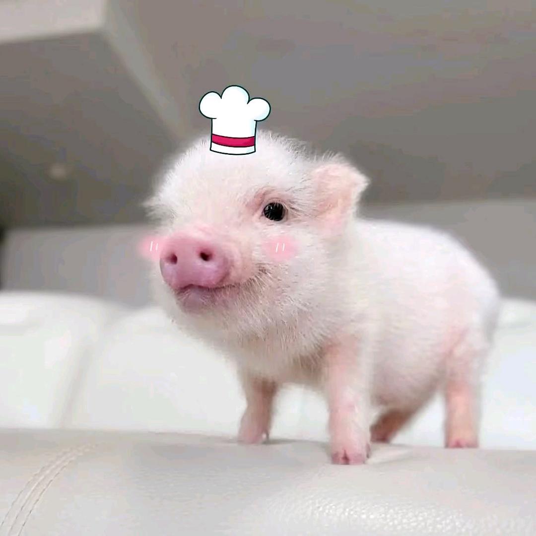 👿头像