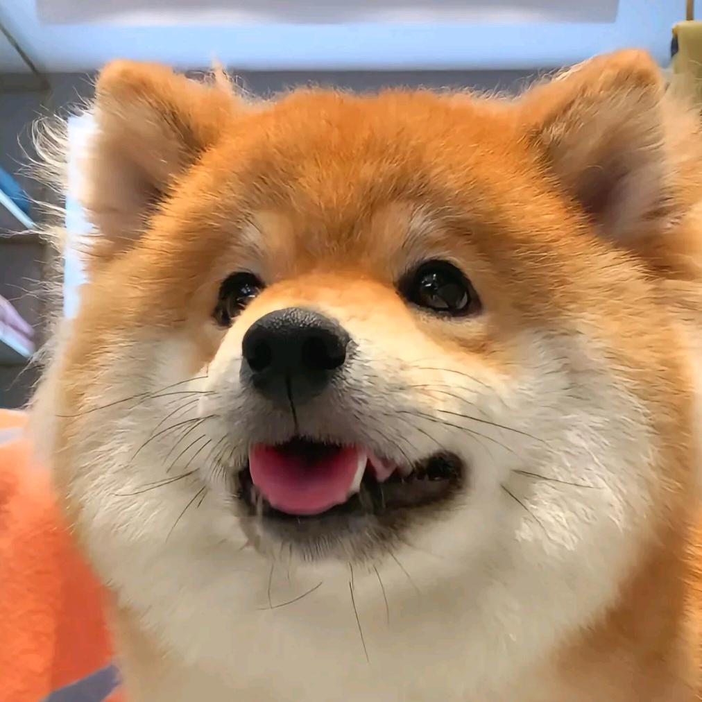 江柏