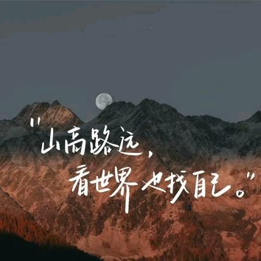 大树