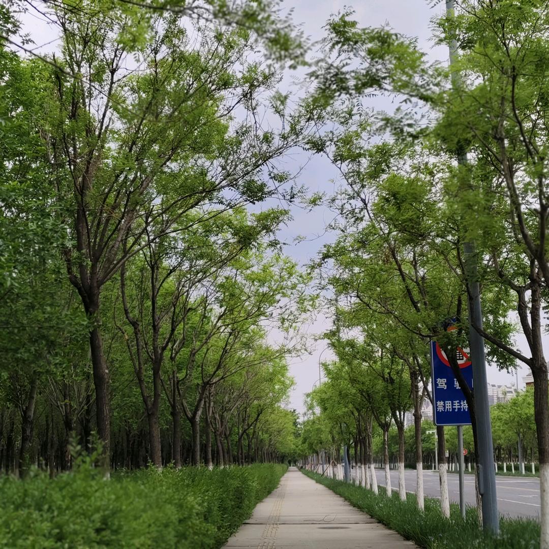 风雨过后