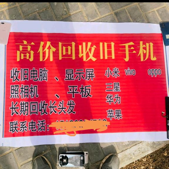 旅  游  全  国