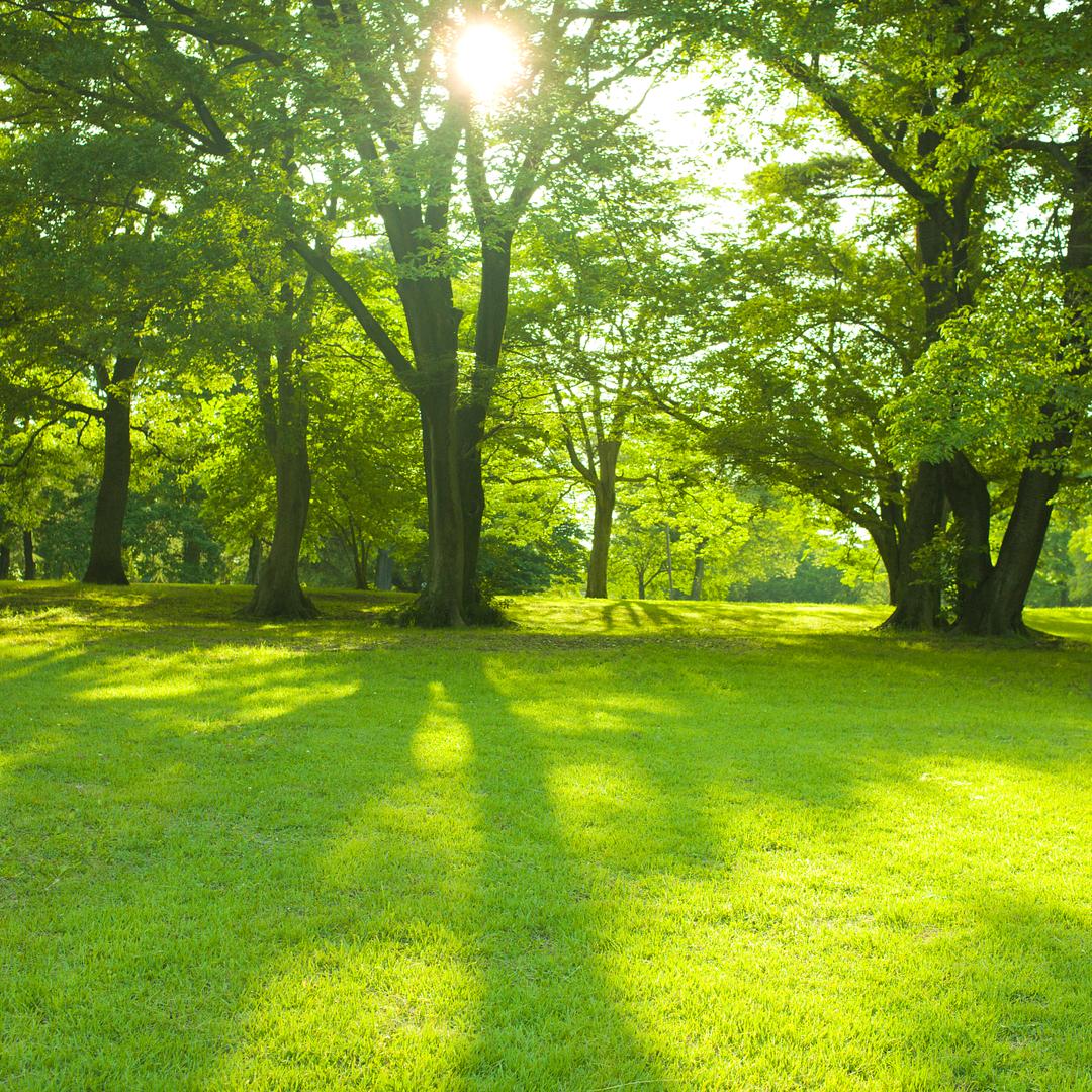 梅好家圆🍀🍀🍀⛵️