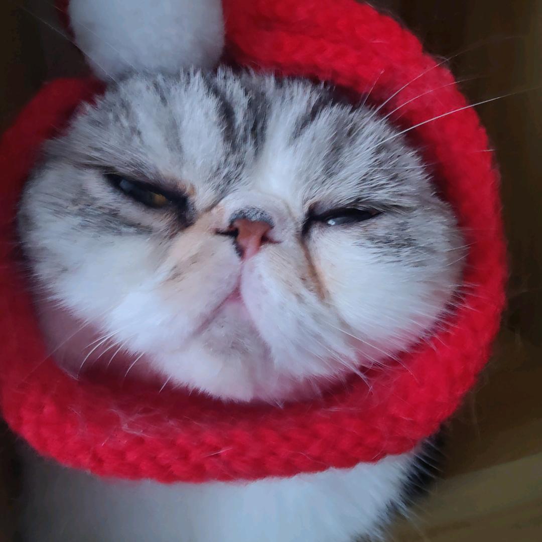 小J记