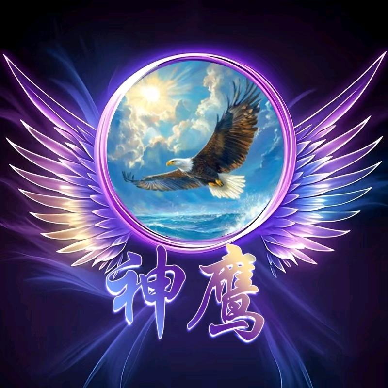 🇨🇳神鹰🇨🇳