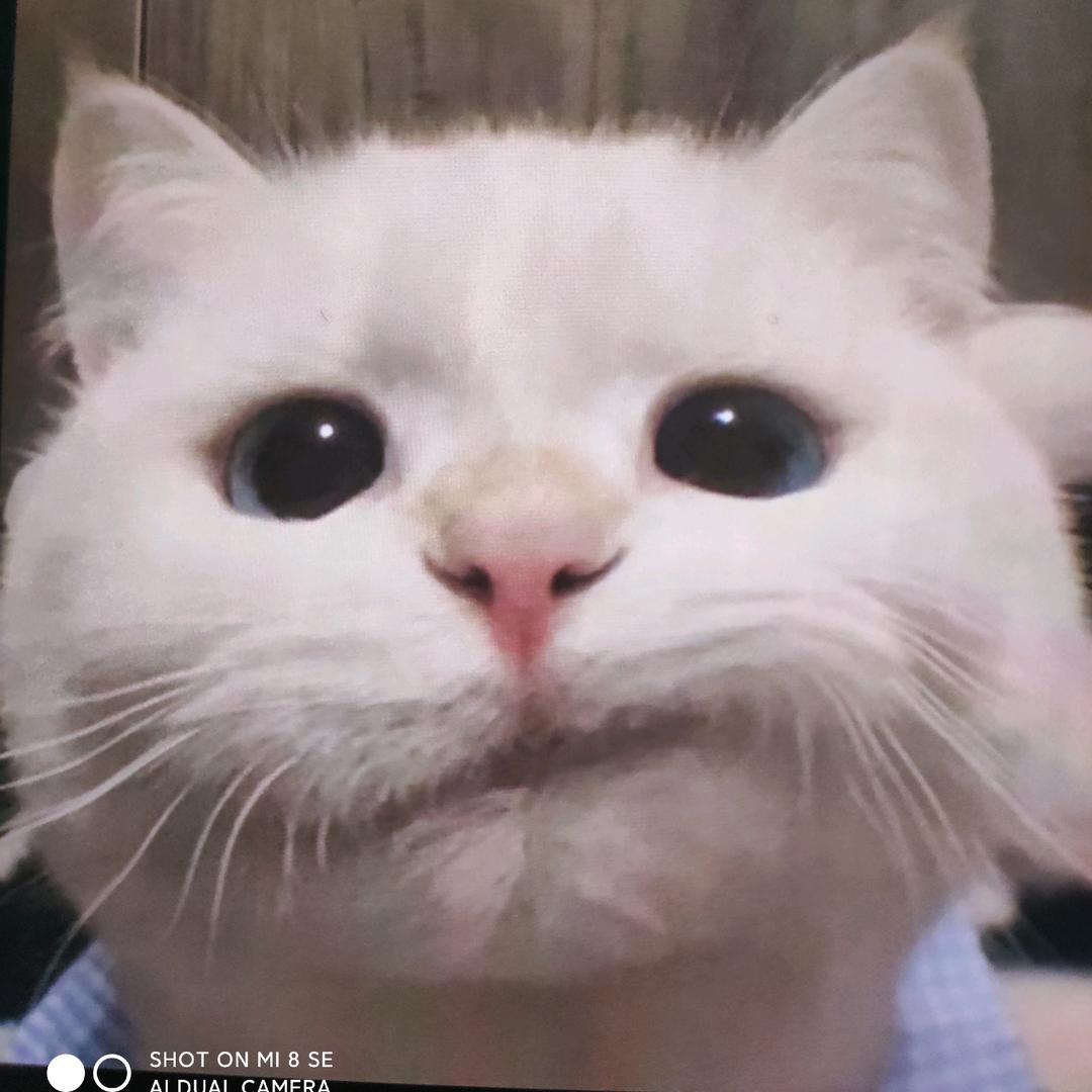 妮可阿
