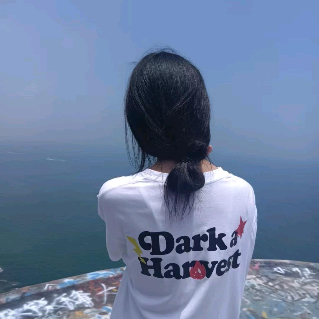只为停留开仙