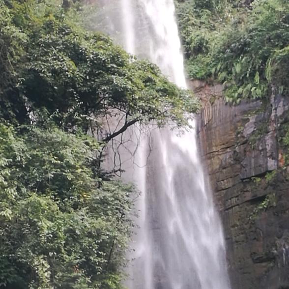 镇雄瓷砖金意陶