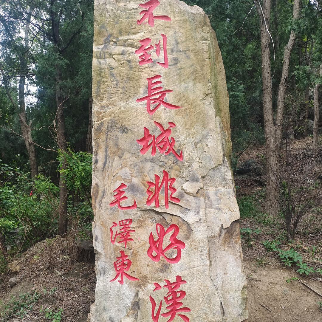 剛哥