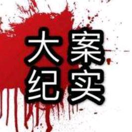 大案纪实