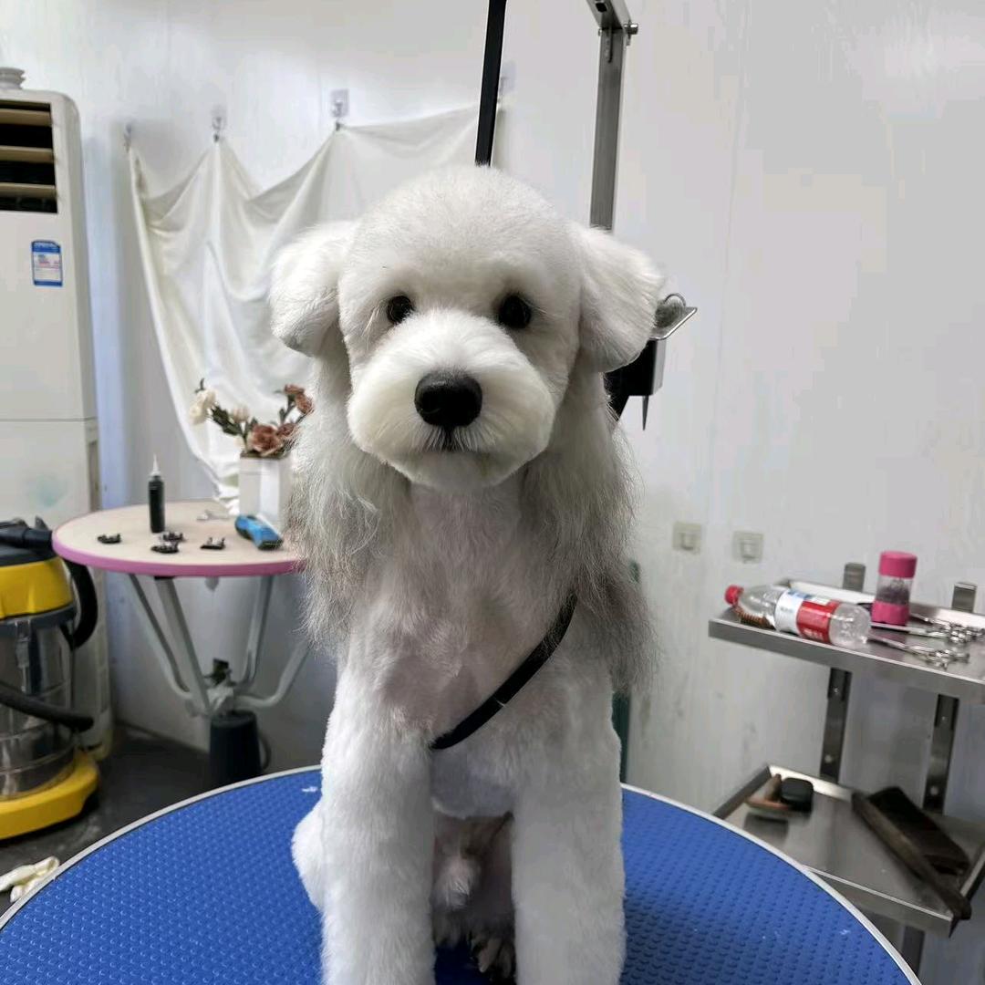 第一