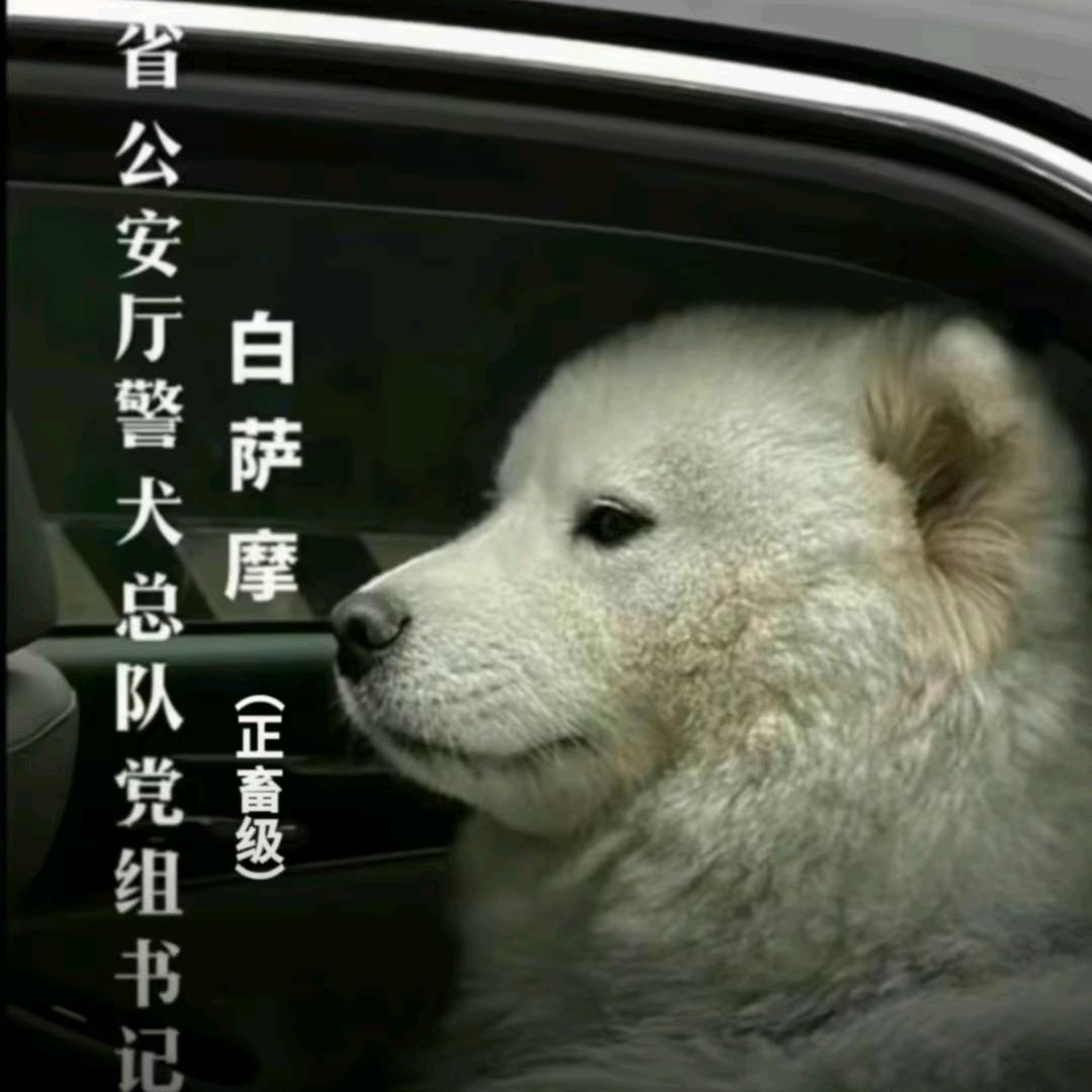 🍃路痴风🍃🐶（肘击校老弟中）