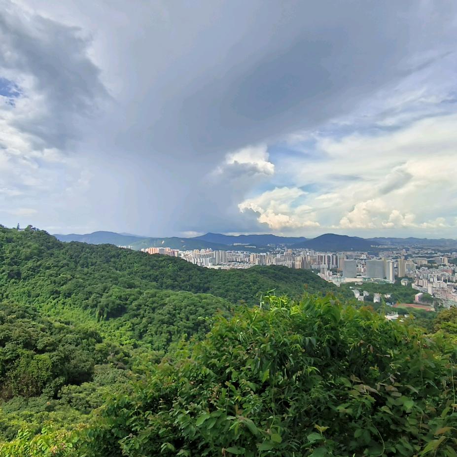 显眼包🤷‍♂️