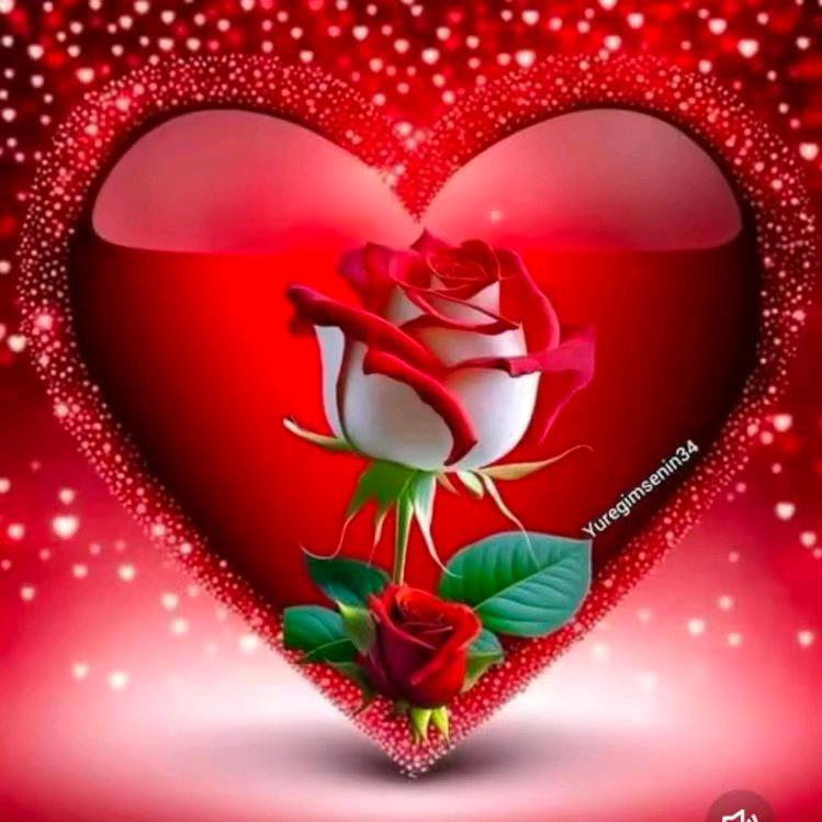 花🌹🌹🌹🌹🌹🌹