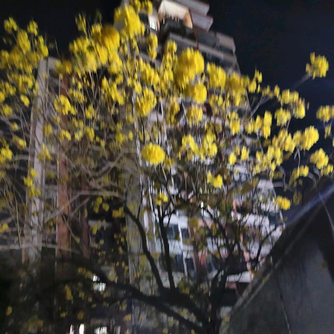 迎接美好一天🎁🎉🎉🎉