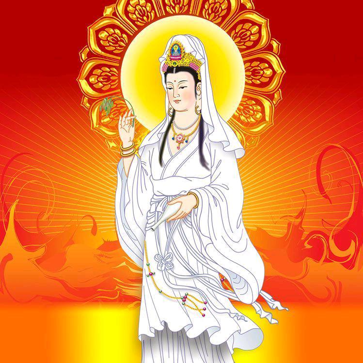 毛柳给佛有缘