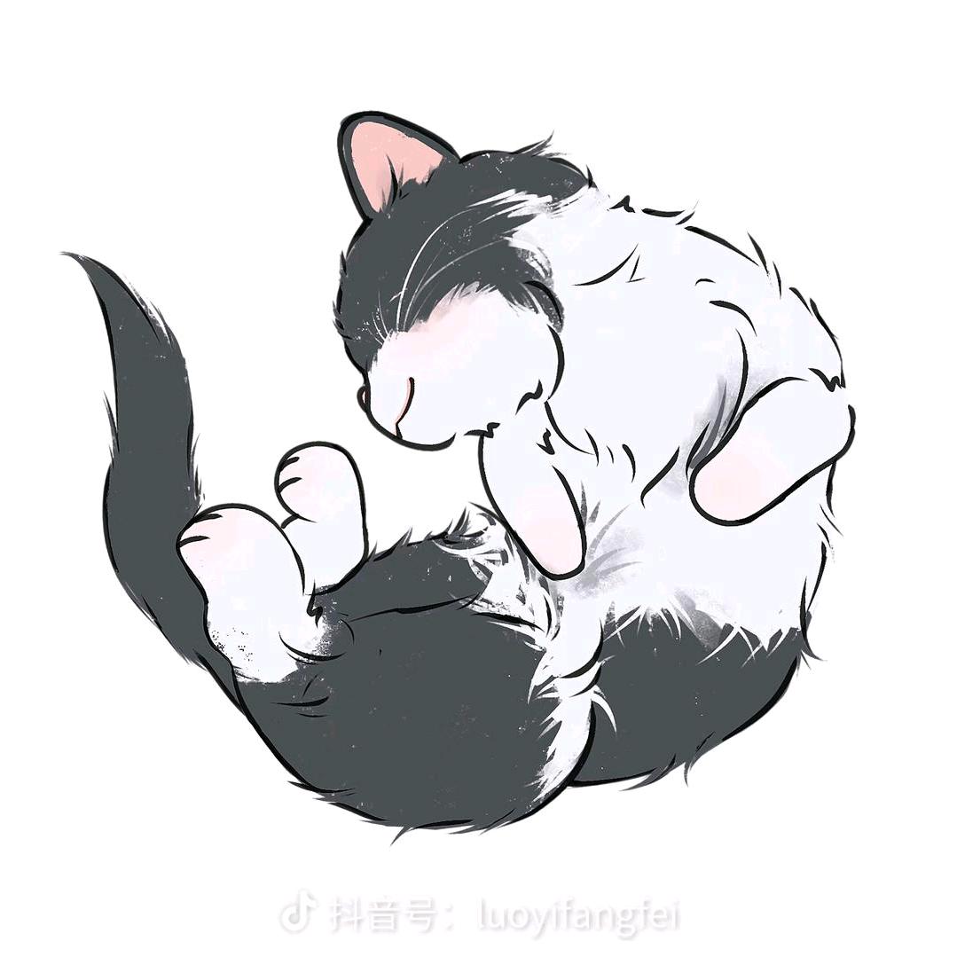 兔子🐰