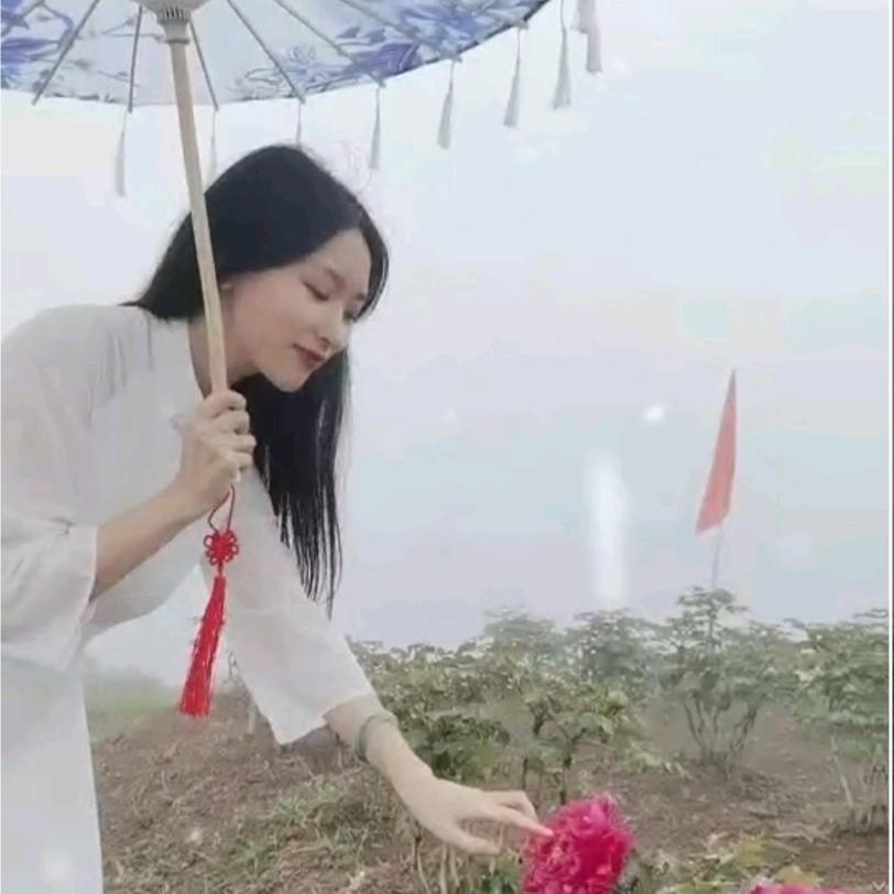 心柔