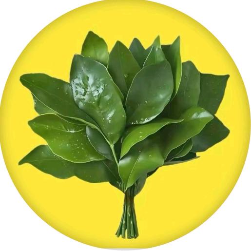 重生之（我在抖音抽福袋）